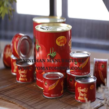 tomato_paste 28_ light canned